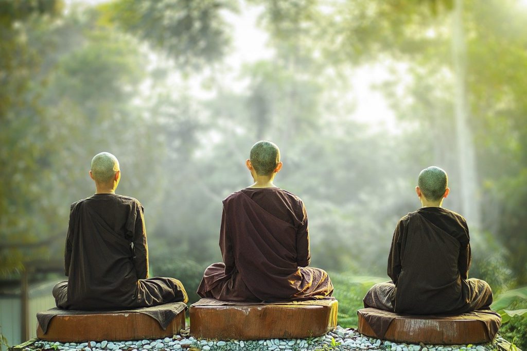 theravada buddhism, nuns, meditation-3818886.jpg